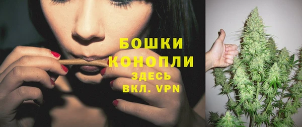 амф Новозыбков