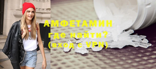 амф Новозыбков