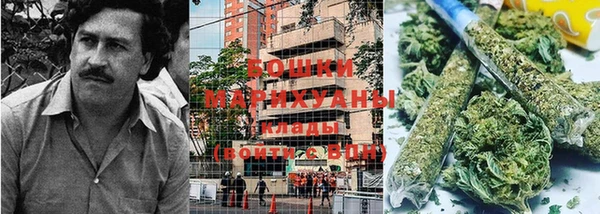 амф Новозыбков