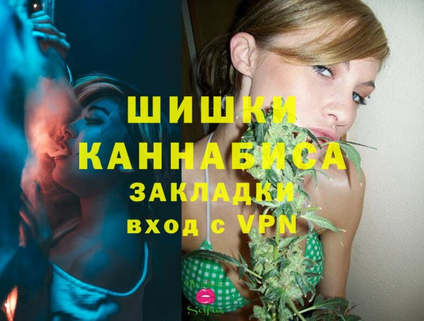 соль ск Новодвинск