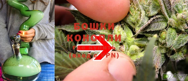 прущие грибы Белая Калитва