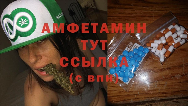соль ск Новодвинск