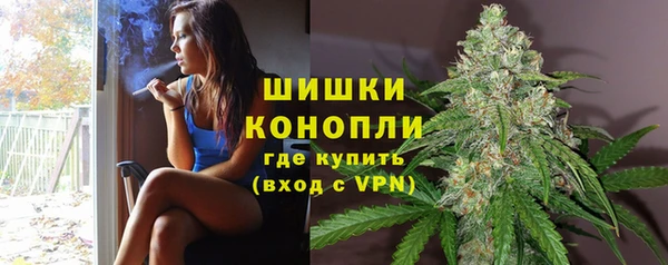 соль ск Новодвинск