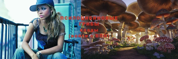 мет Нязепетровск