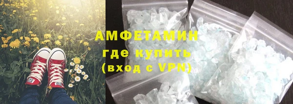 амф Новозыбков