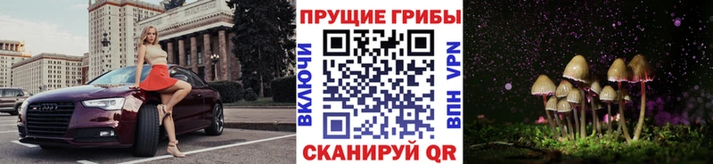 Псилоцибиновые грибы GOLDEN TEACHER Мичуринск