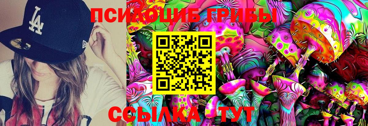 цена наркотик  Вход с VPN  Мичуринск  Галлюциногенные грибы GOLDEN TEACHER  Псилоцибиновые грибы GOLDEN TEACHER 