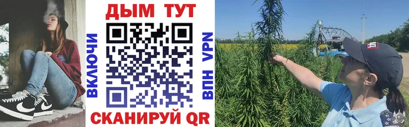 купить наркоту  Мичуринск  блэк спрут как зайти  Бошки Шишки White Widow 